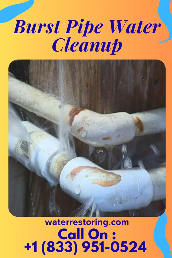 Burst Pipe Water Cleanup in Corunna, MI