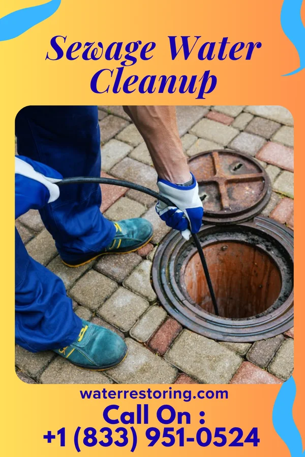 Sewage Water Cleanup in Corunna, MI